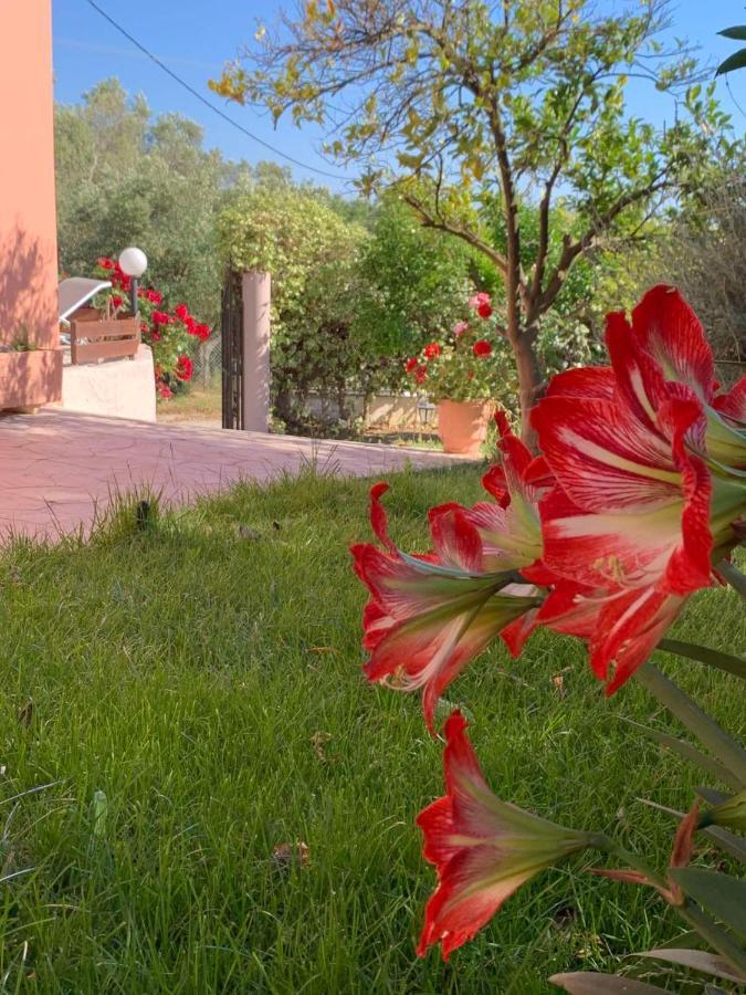 Villa Ey House Halikounas Esterno foto